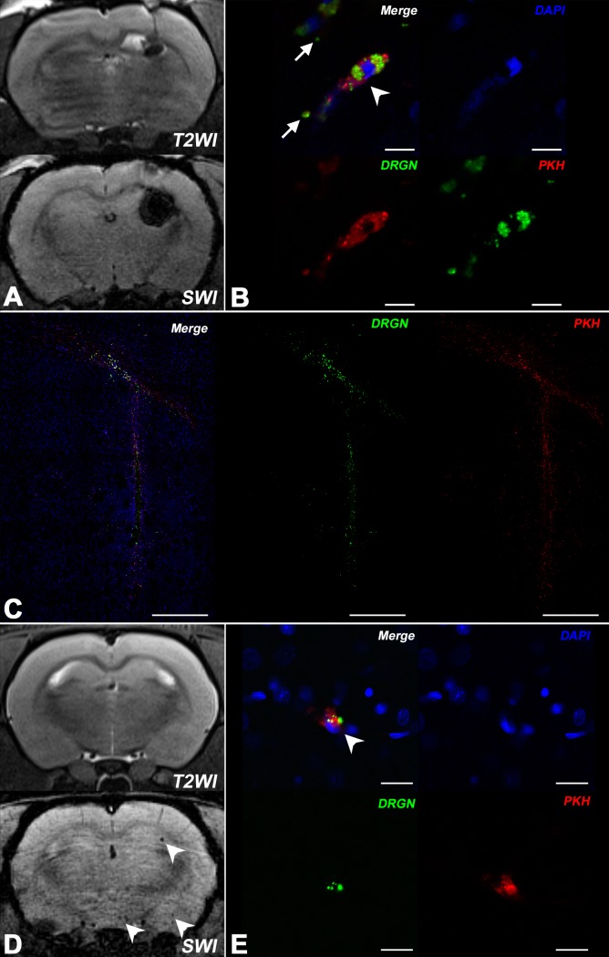 Fig 8