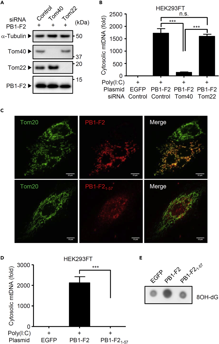 Figure 3