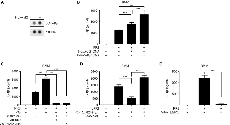 Figure 4