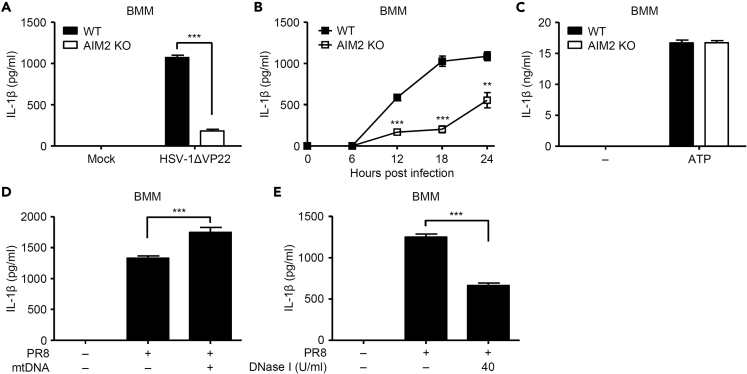 Figure 5