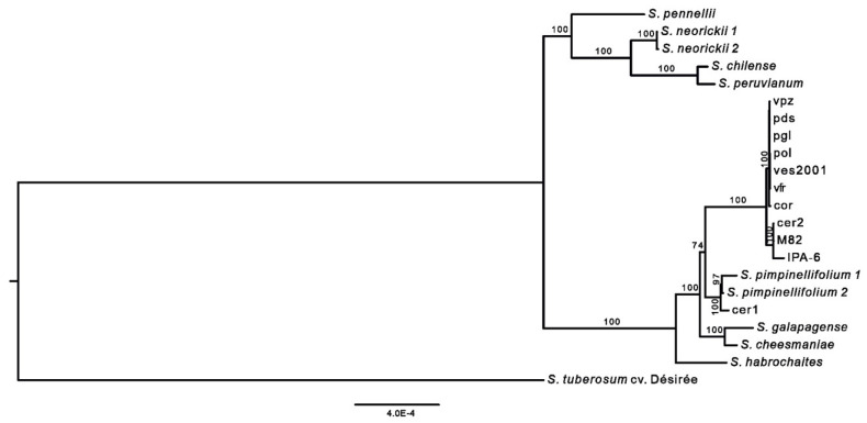 Figure 5