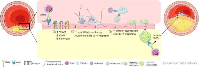 Fig. 1