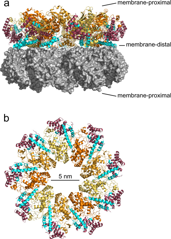 Fig. 3