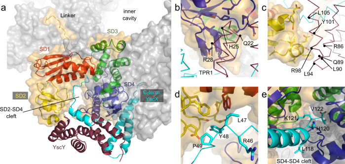 Fig. 4