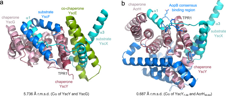 Fig. 8