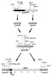 FIG. 1