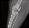 Figure 20