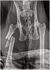Figure 15