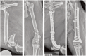 Figure 18