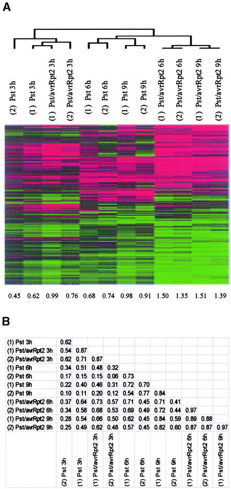 Figure 2.