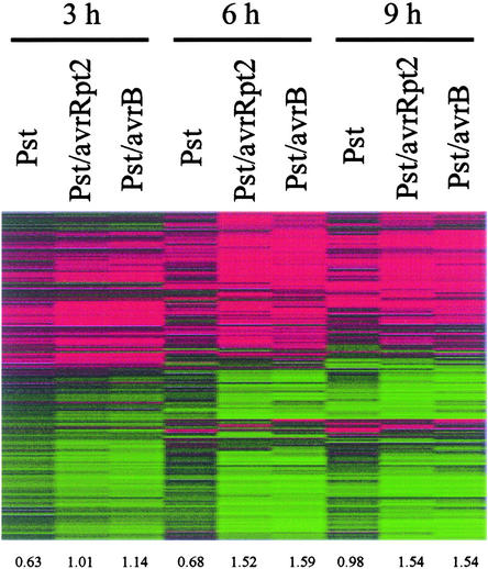 Figure 4.