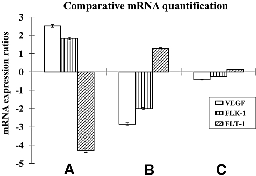 FIG. 1.