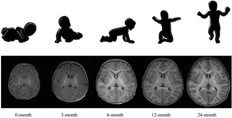 Figure 1: