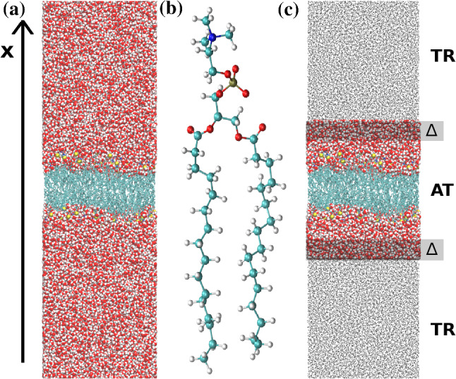 Fig. 12