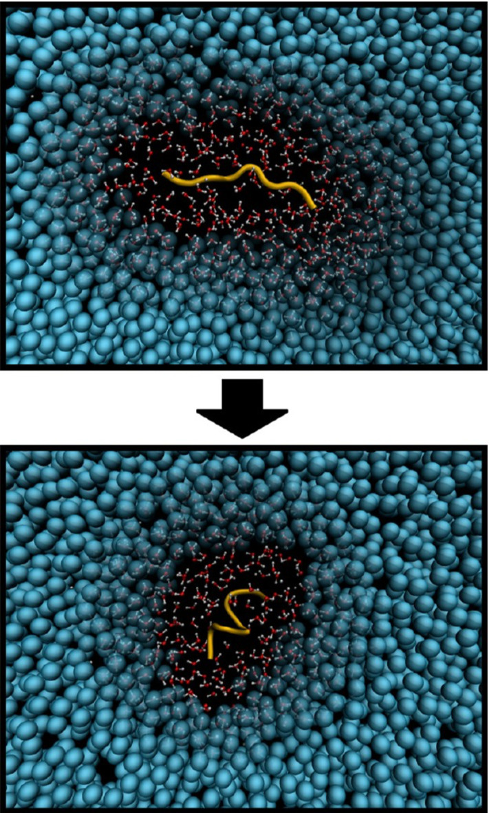 Fig. 4