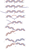 Fig. 2
