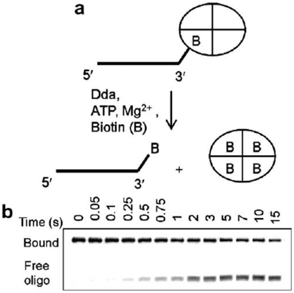 Fig. 9