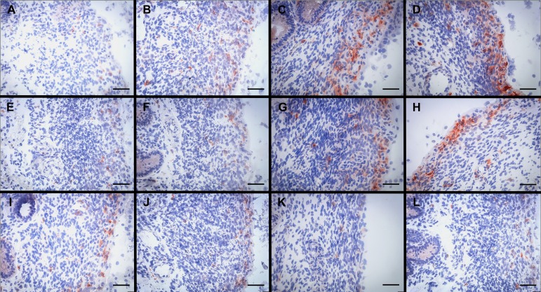 FIG. 7