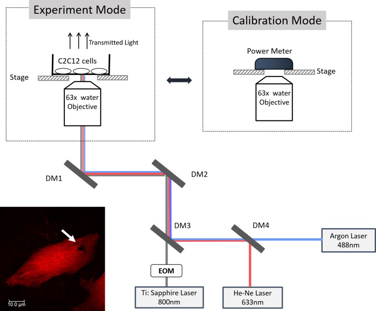 Figure 1