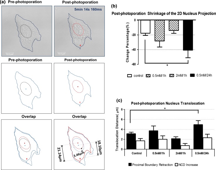 Figure 4