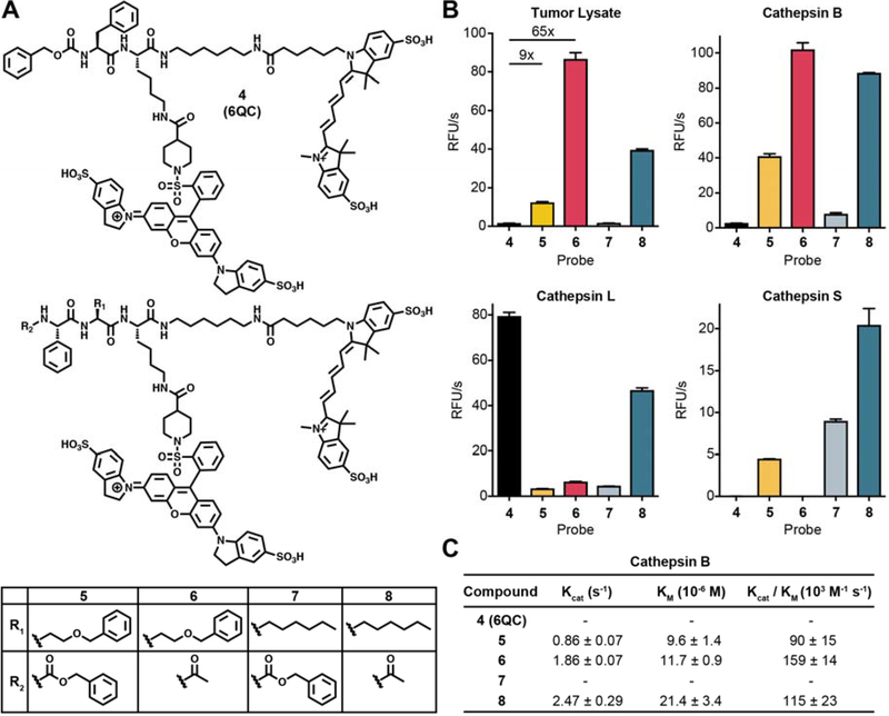 Fig. 2: