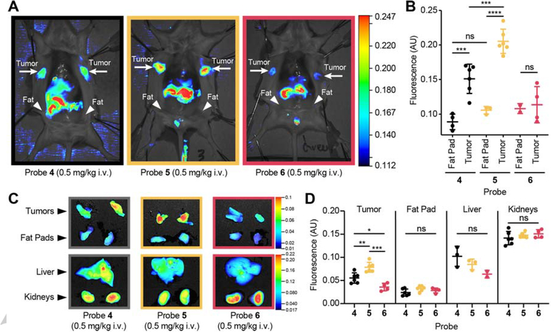 Fig. 4: