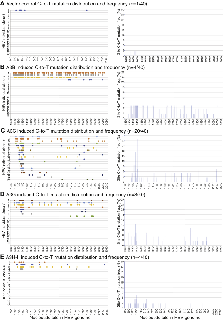 Figure 5