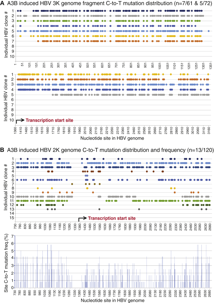 Figure 6