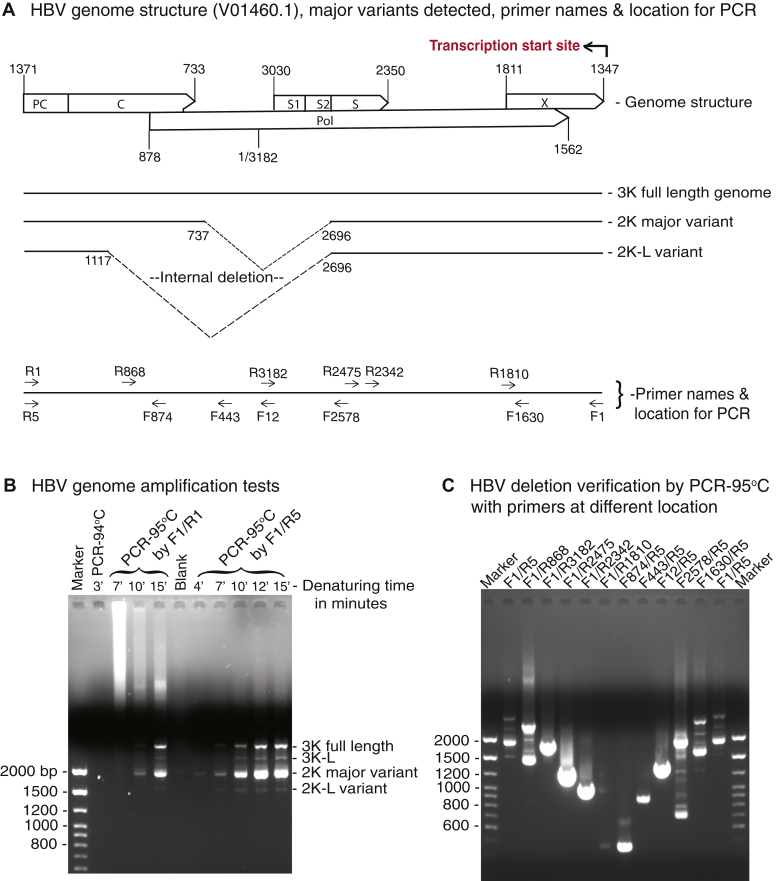 Figure 1