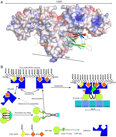 Fig. 4.