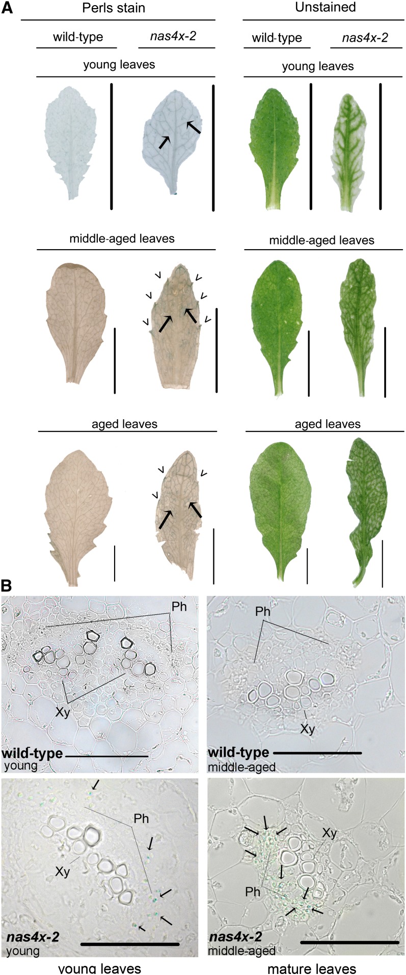 Figure 6.