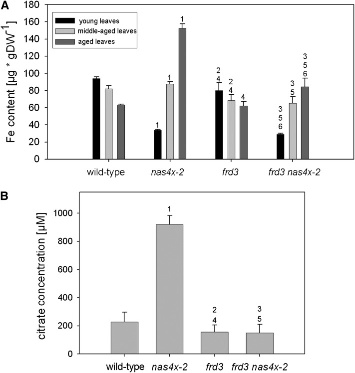 Figure 5.