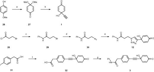 Scheme 2