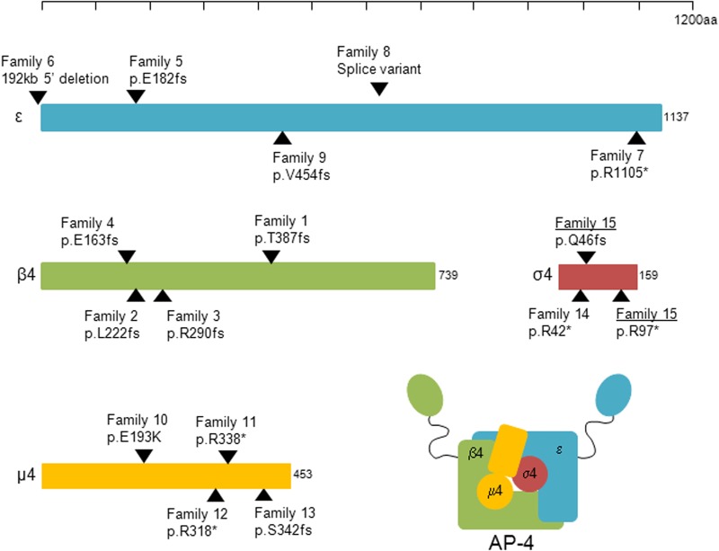 Figure 3.