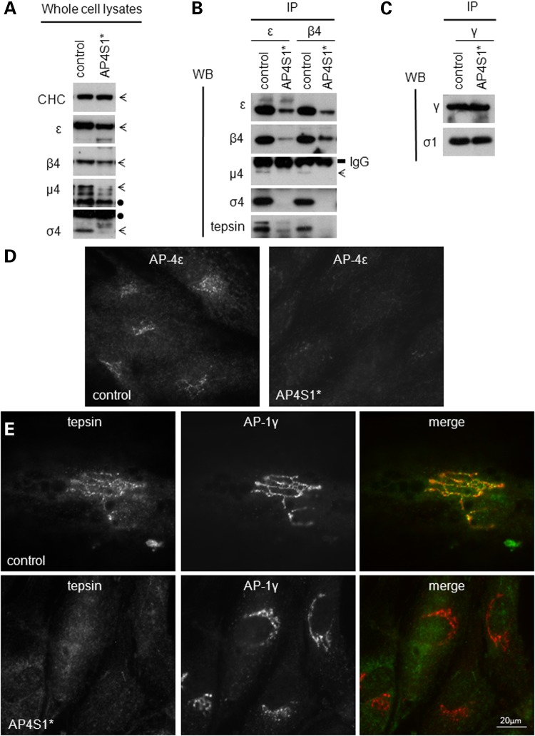 Figure 2.