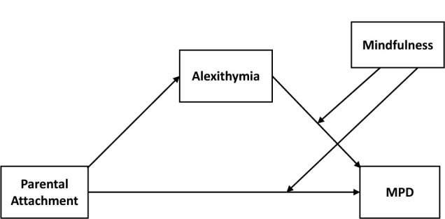 FIGURE 1