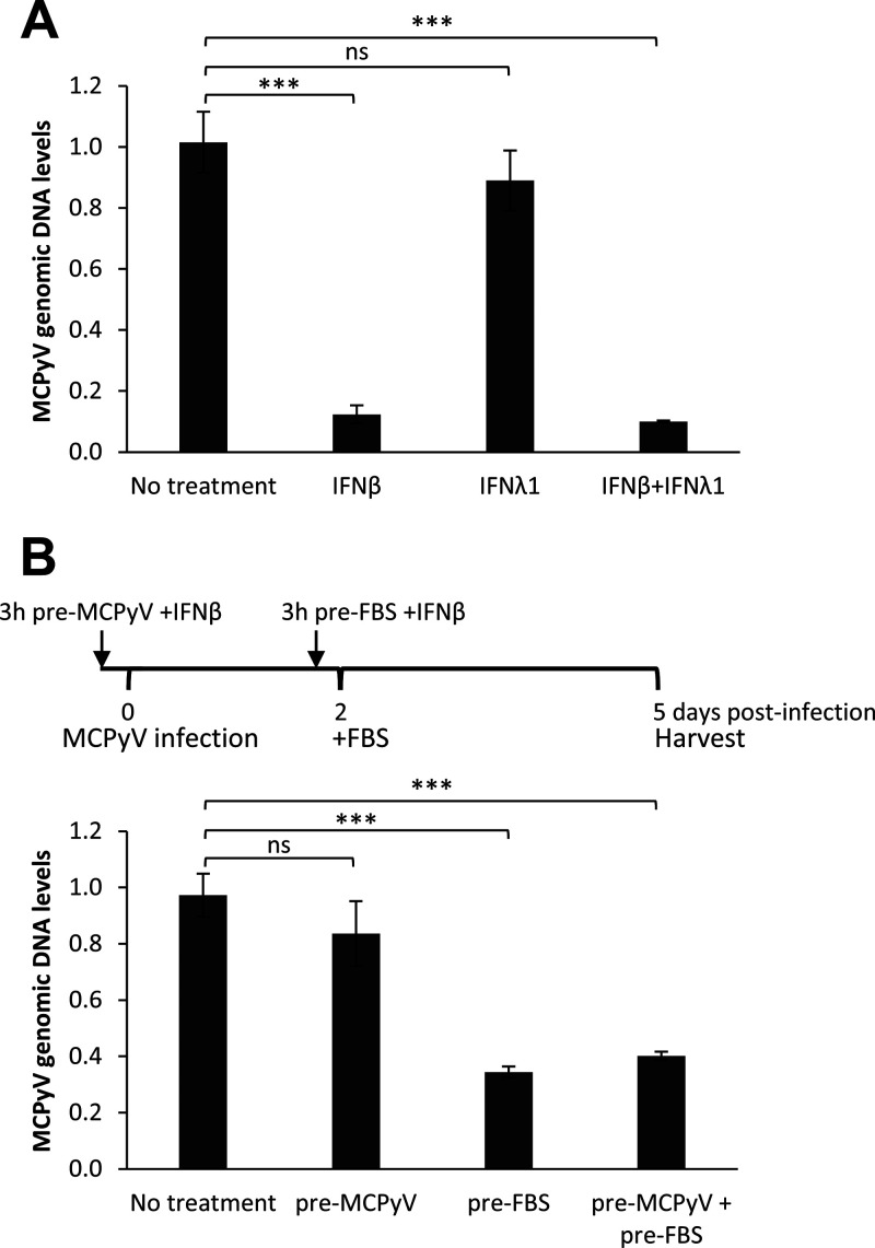 FIG 6