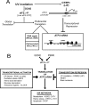 FIGURE 10.