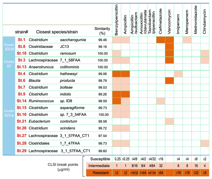 graphic file with name gmic-5-333-g1.jpg