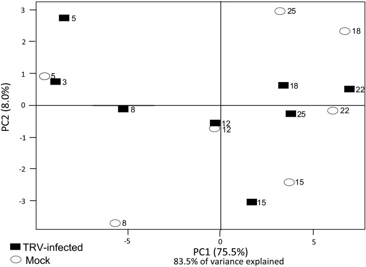 Figure 4.