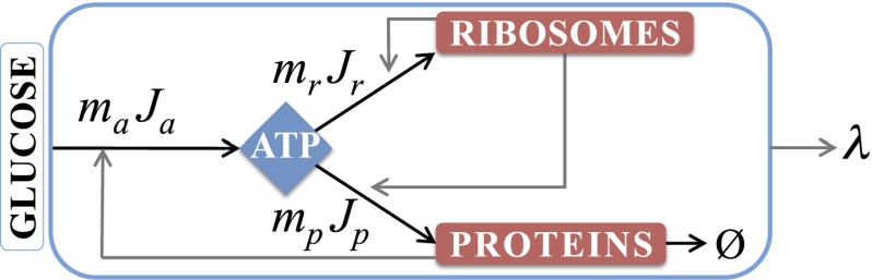 Fig. 1.