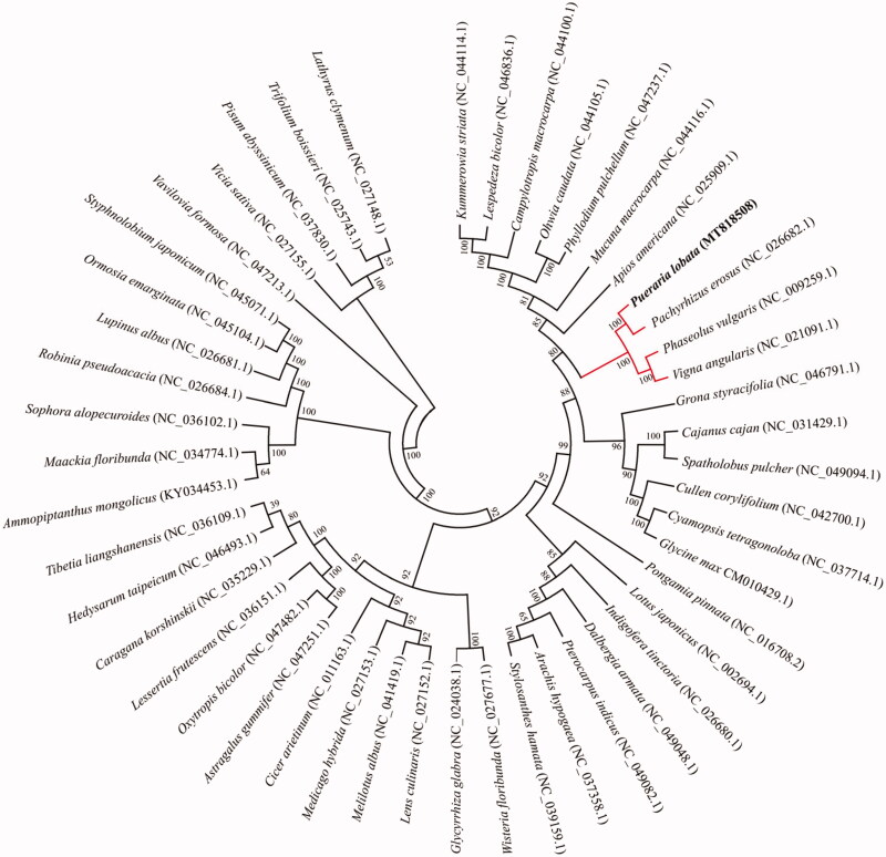 Figure 1.