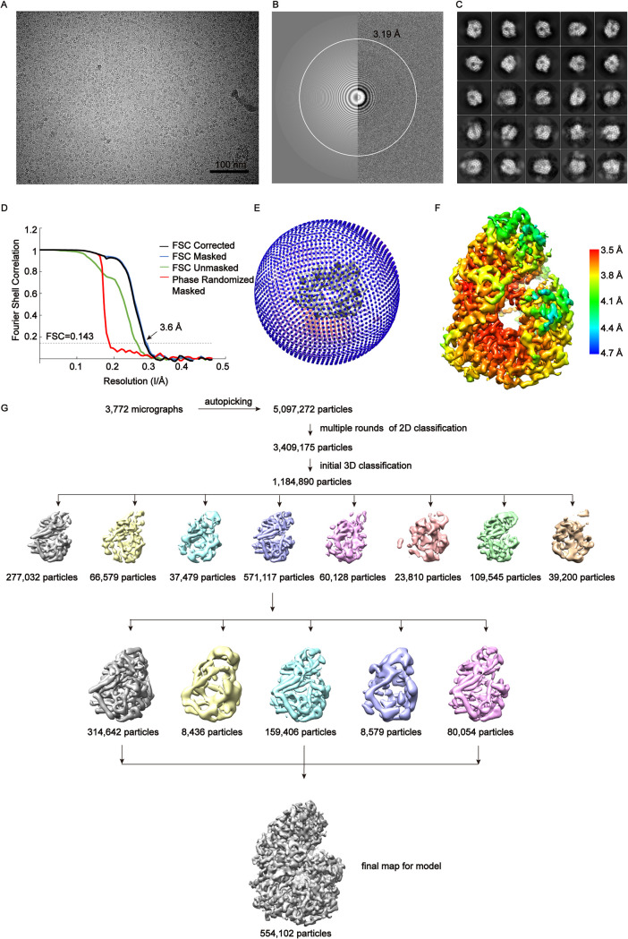 FIG 2