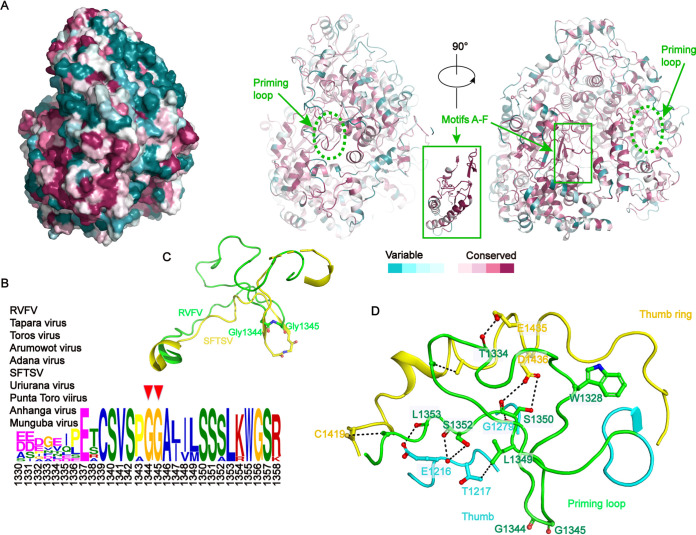 FIG 6