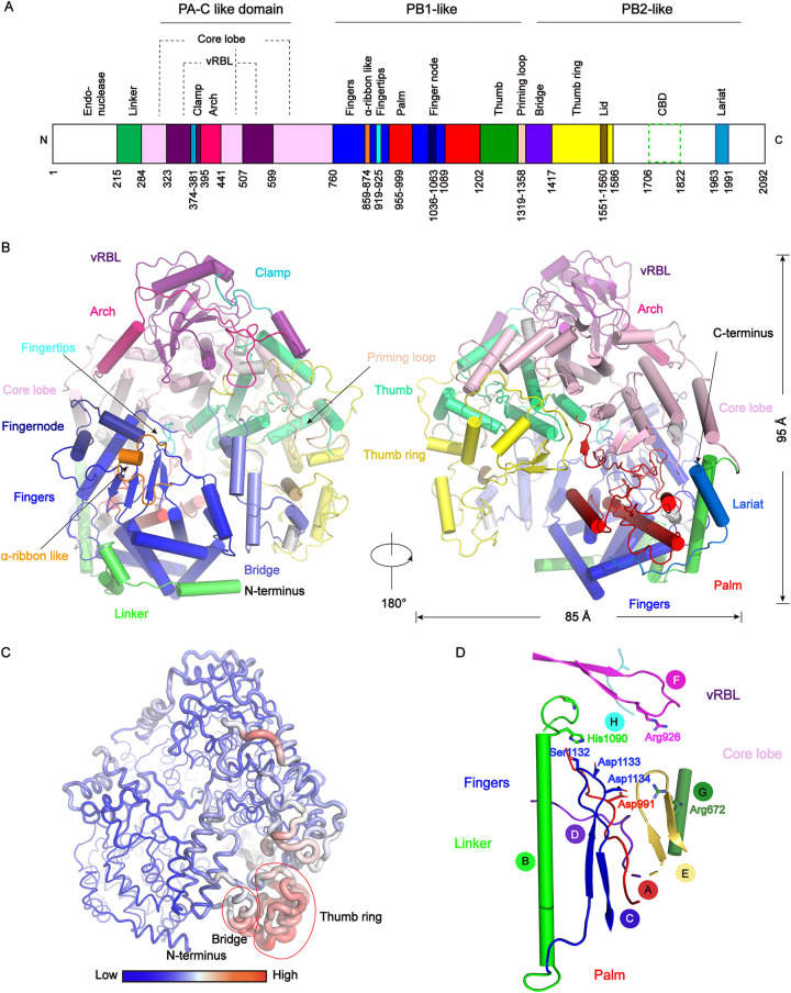 FIG 3