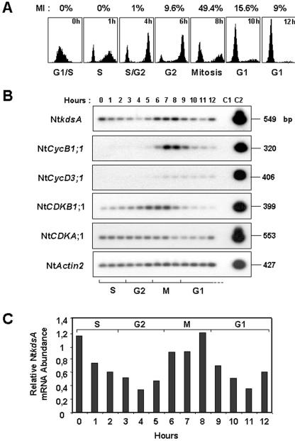 Figure 6.