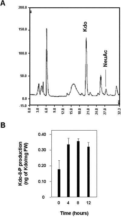 Figure 7.