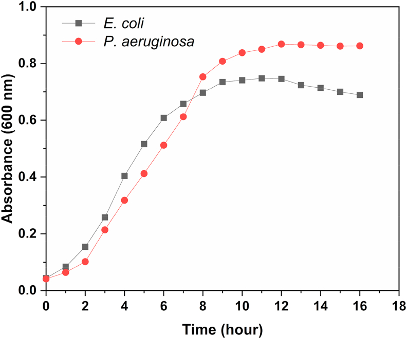 Figure 2