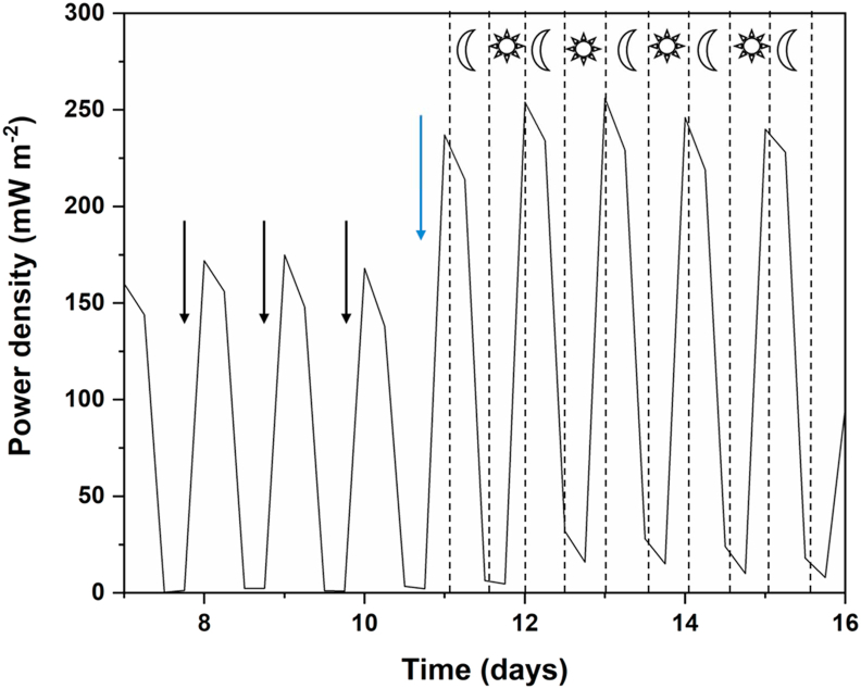 Figure 7