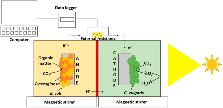 Figure 1